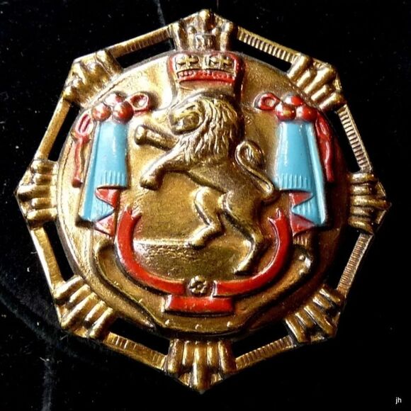 Vintage Lion Crest Coat of Arms Brass and Enamel Heraldic Brooch - Picture 1 of 5